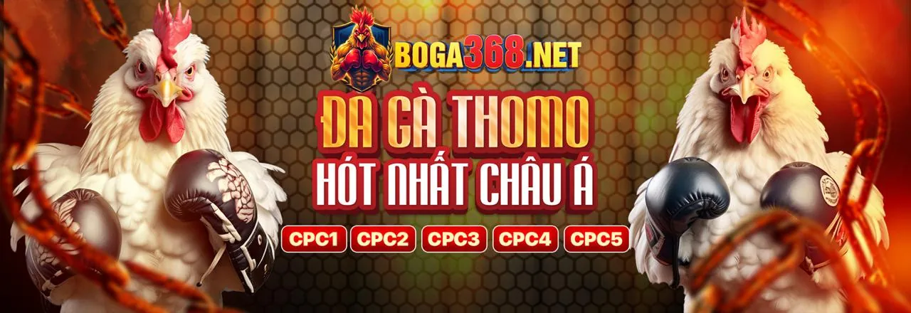 Hình ảnh chủ đạo về cờ bạc có trách nhiệm tại net1 link mới